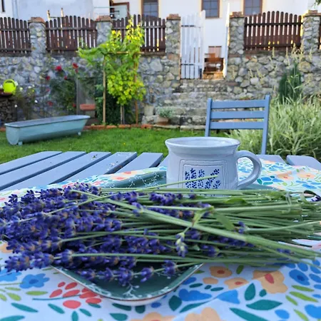 Appartement S Vuni Levandule Mikulov